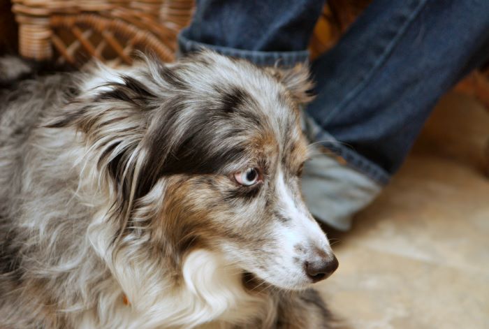 ddb 20080608 020-033