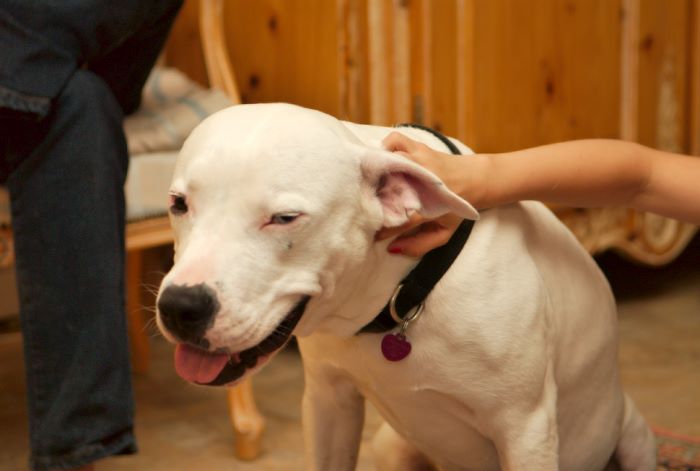 ddb 20080608 020-035