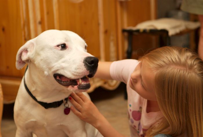 ddb 20080608 020-036