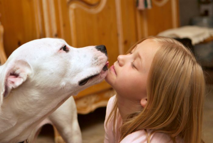 ddb 20080608 020-037