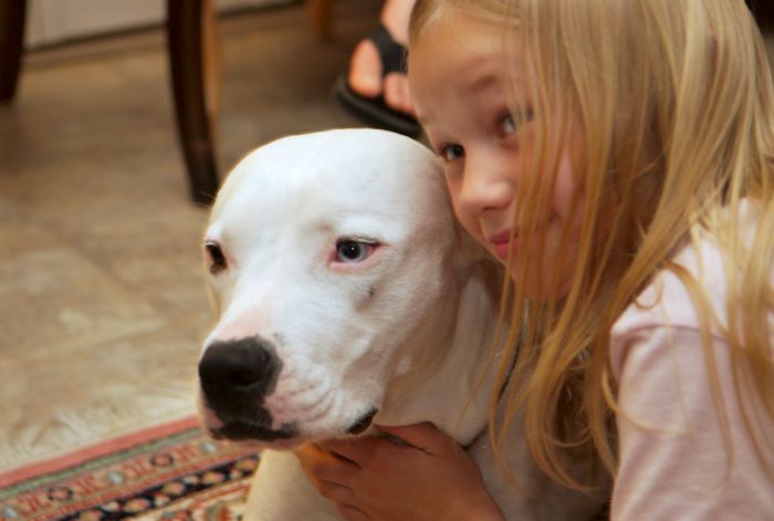 ddb 20080608 020-039