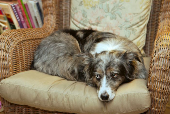 ddb 20080608 020-049