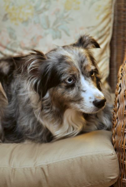 ddb 20080608 020-051