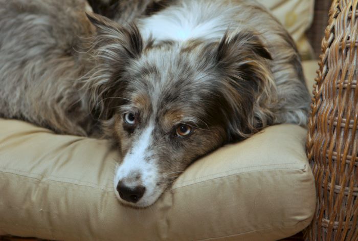 ddb 20080608 020-052