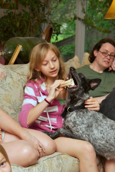 ddb 20080608 020-056