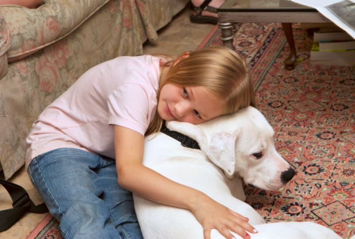 ddb 20080608 020-072