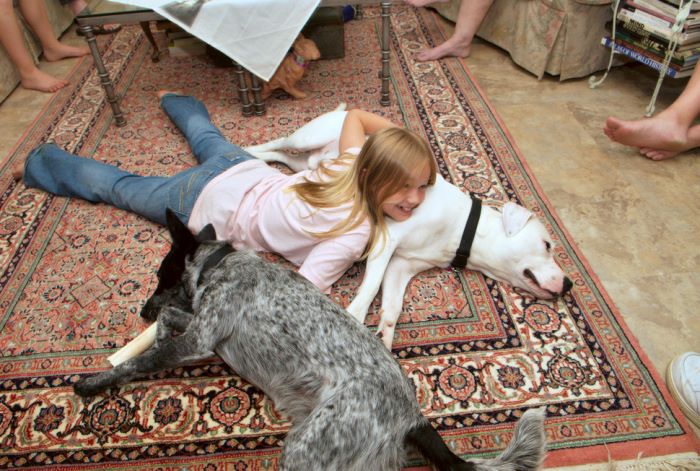 ddb 20080608 020-077