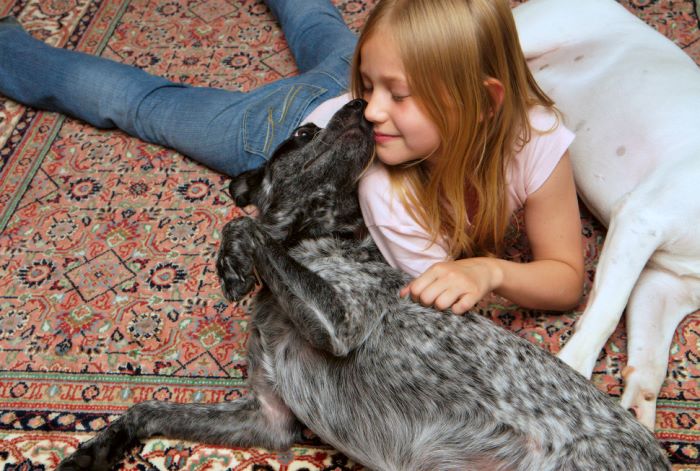 ddb 20080608 020-079