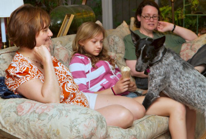 ddb 20080608 020-080