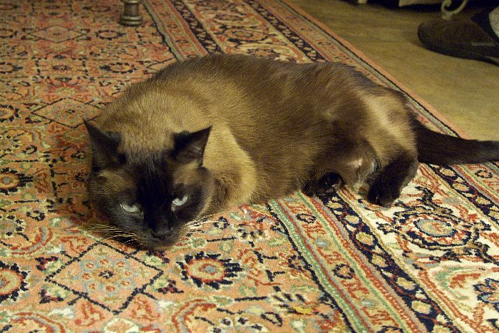 ddb 20081025 010-005