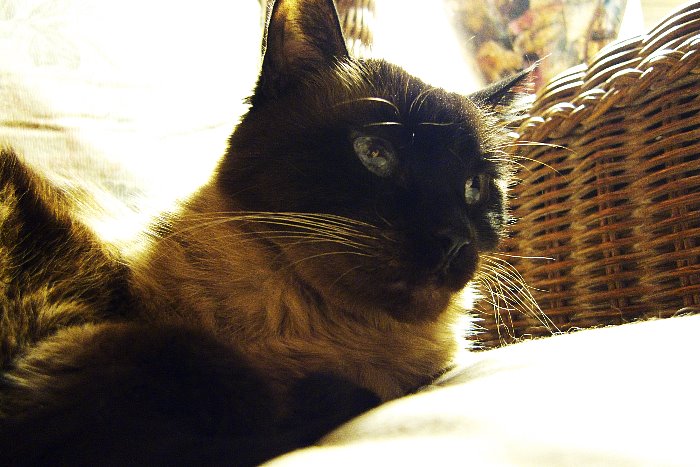 ddb 20081025 010-008