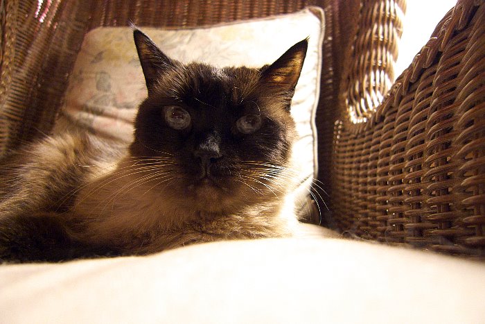 ddb 20081025 010-010