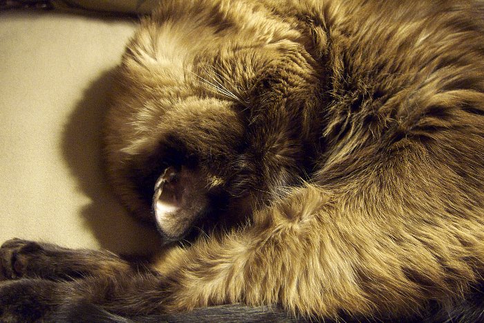 ddb 20081025 010-022