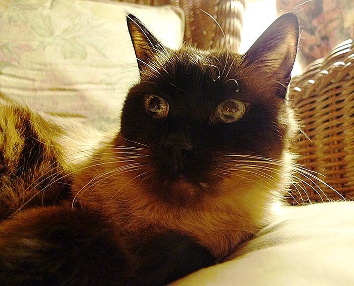 ddb 20081025 010-023