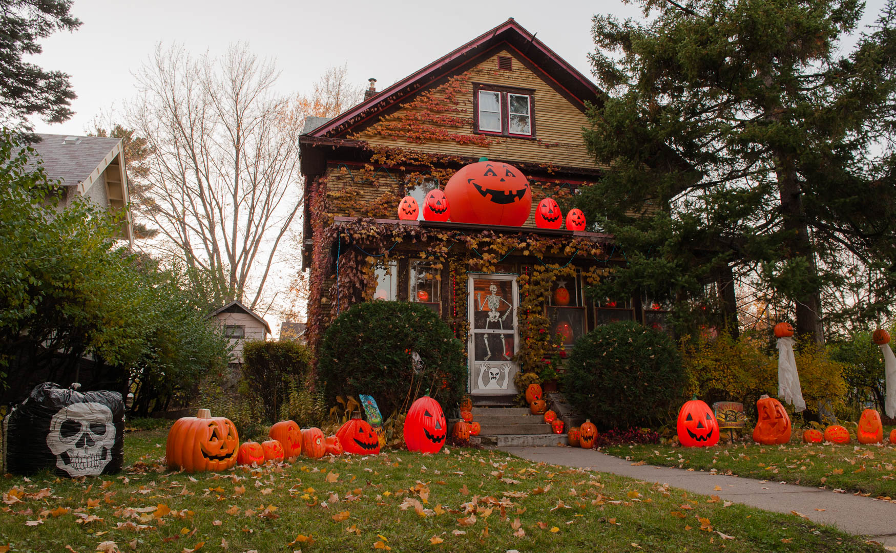 ddb_20081102_020-001