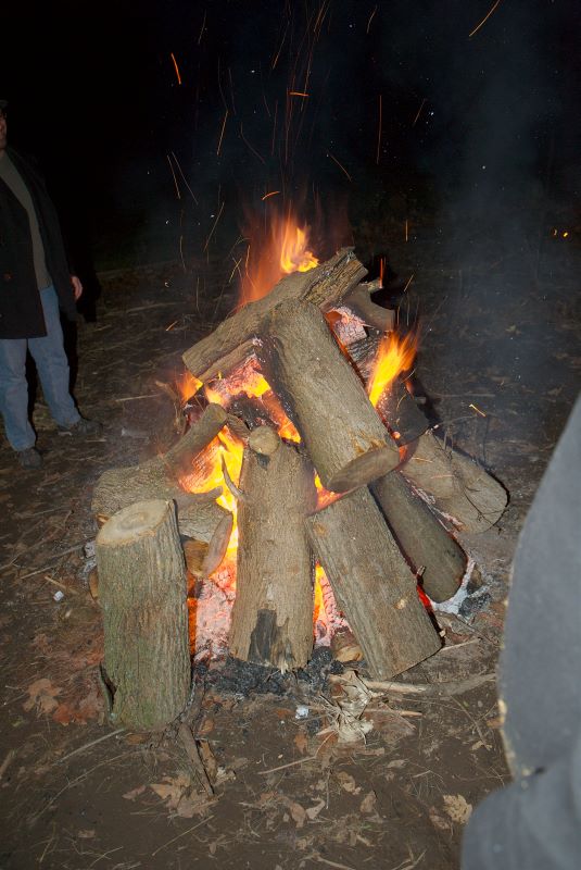 ddb 20081115 020-104