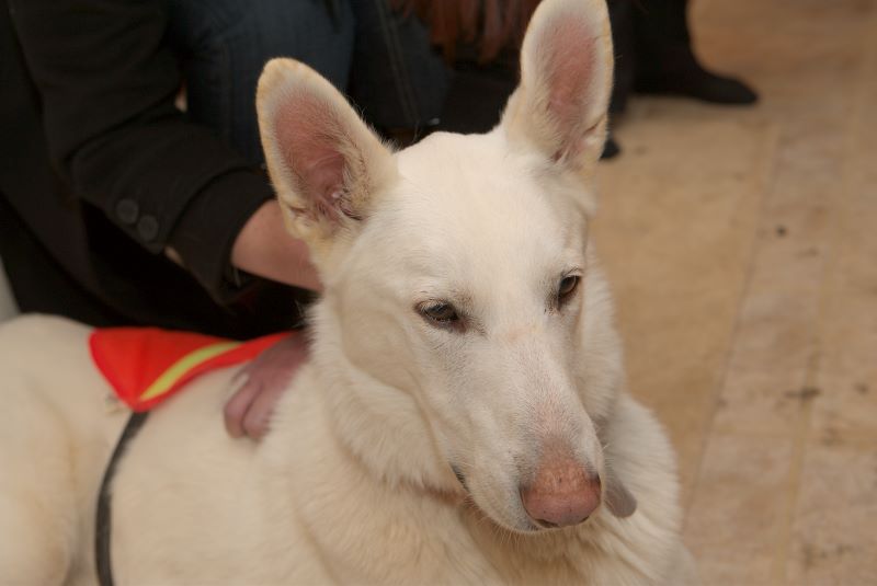 ddb 20081115 020-136