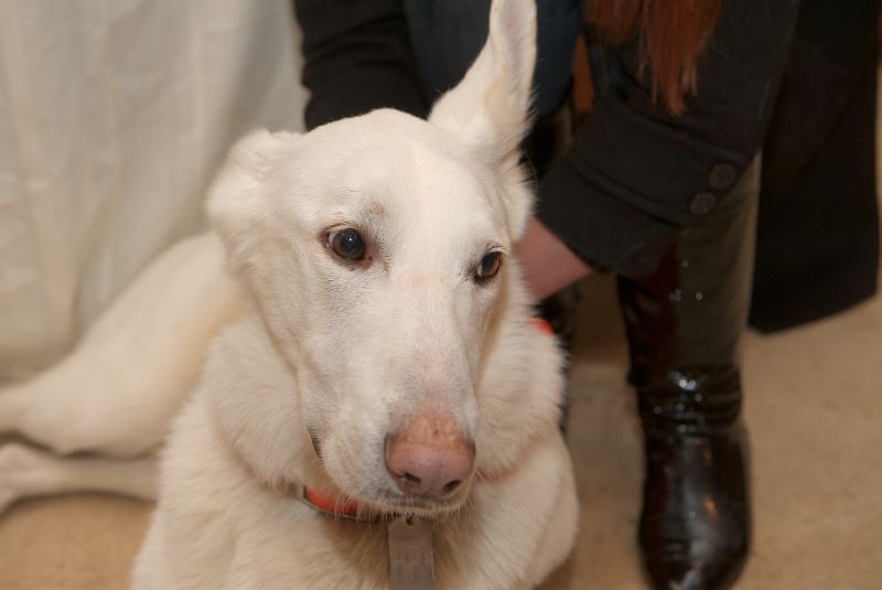 ddb 20081115 020-137