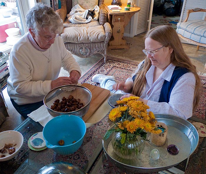 ddb 20081127 010-001