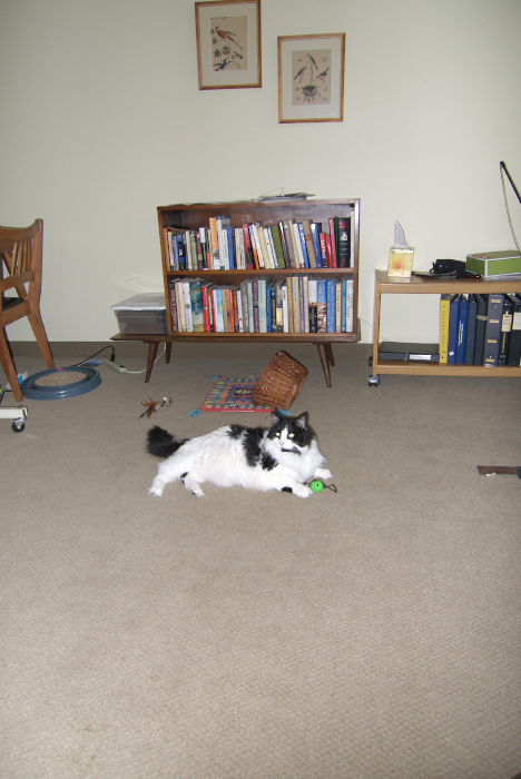 ddb 20081207 010-003