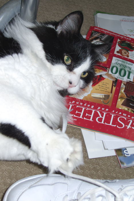 ddb 20081207 010-011