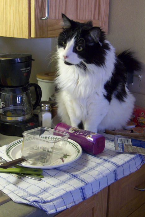 ddb 20081224 010-012