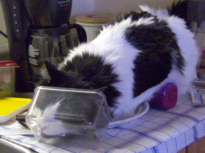 ddb 20081224 010-014