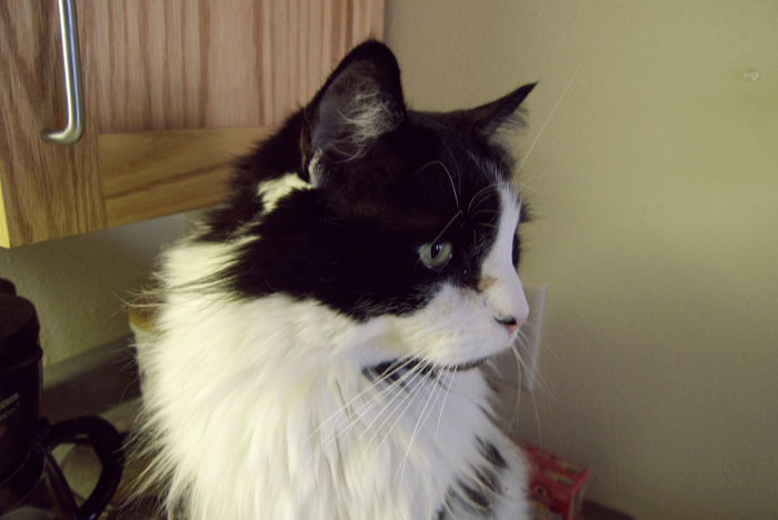 ddb 20081224 010-020