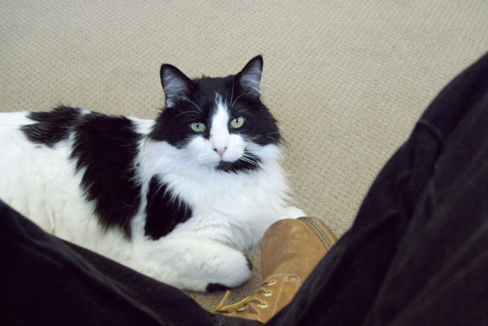 ddb 20081224 010-023