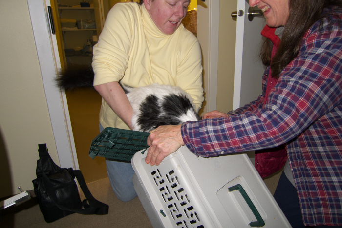 ddb 20081224 010-026