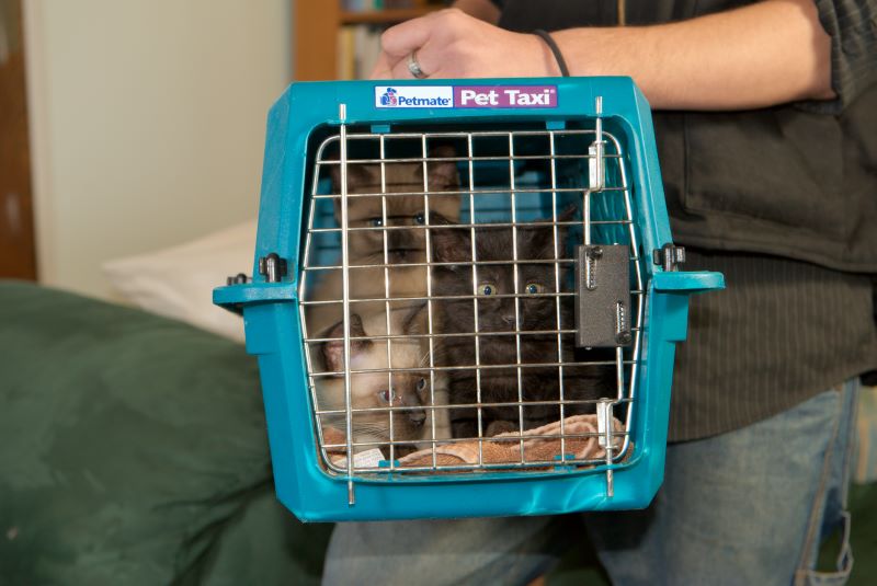 ddb 20090329 010-003