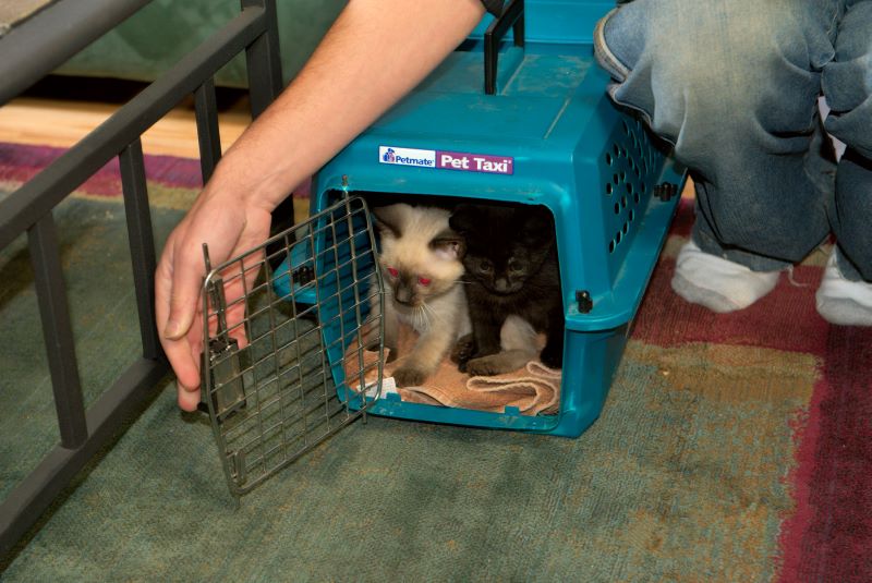 ddb 20090329 010-004