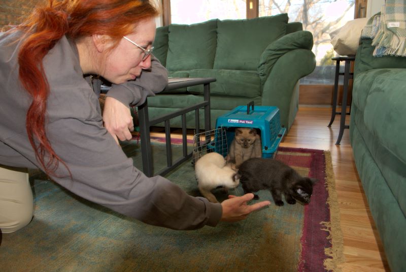 ddb 20090329 010-008