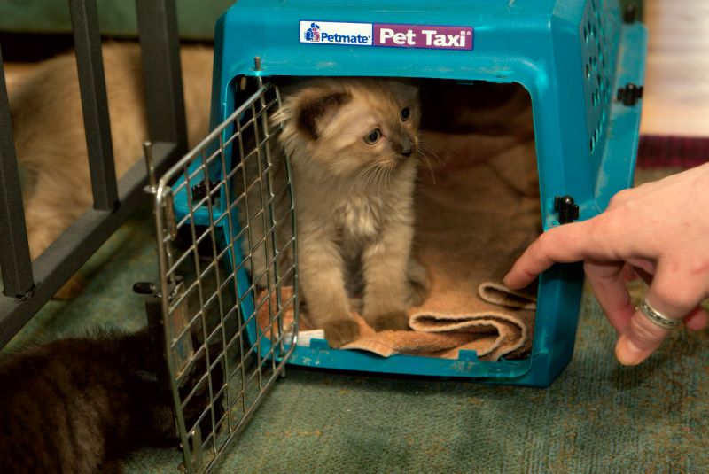 ddb 20090329 010-012