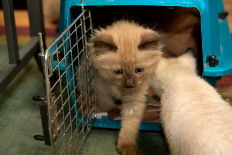 ddb 20090329 010-013