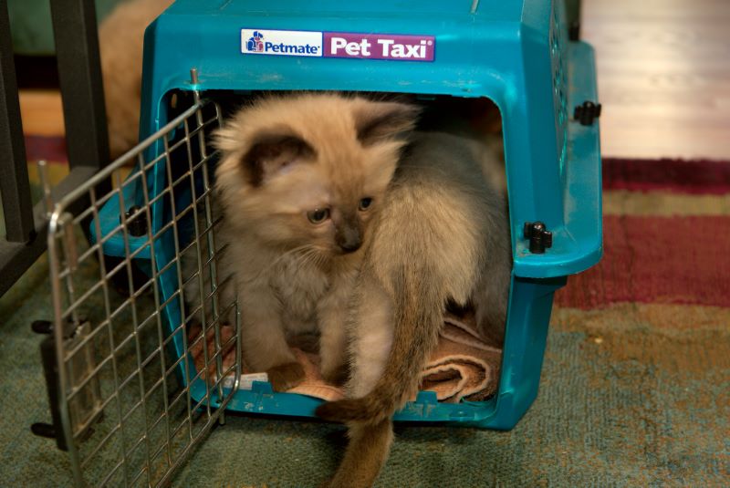 ddb 20090329 010-014