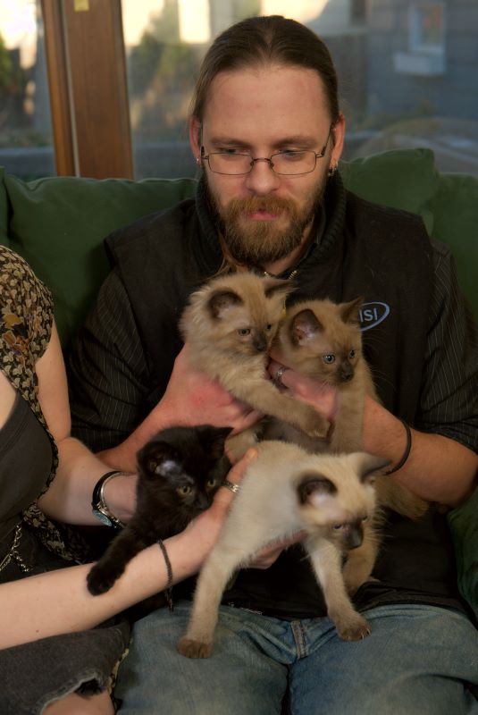 ddb 20090329 010-020