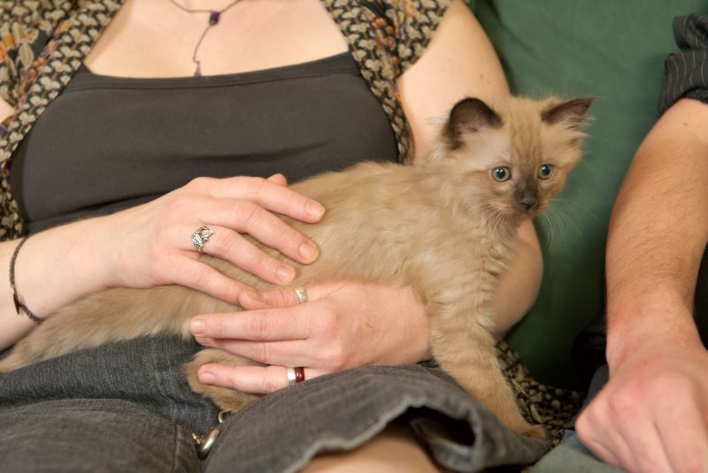 ddb 20090329 010-027