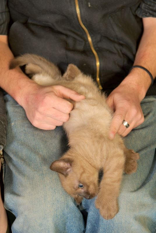 ddb 20090329 010-028