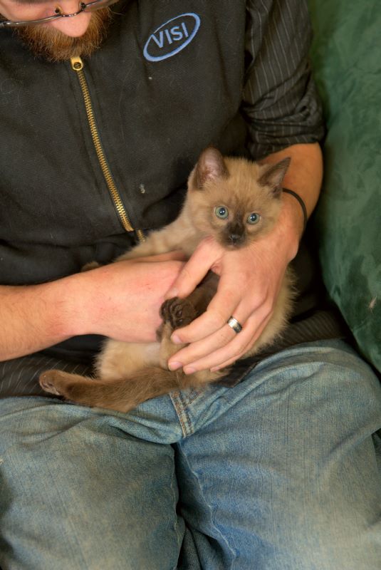 ddb 20090329 010-029