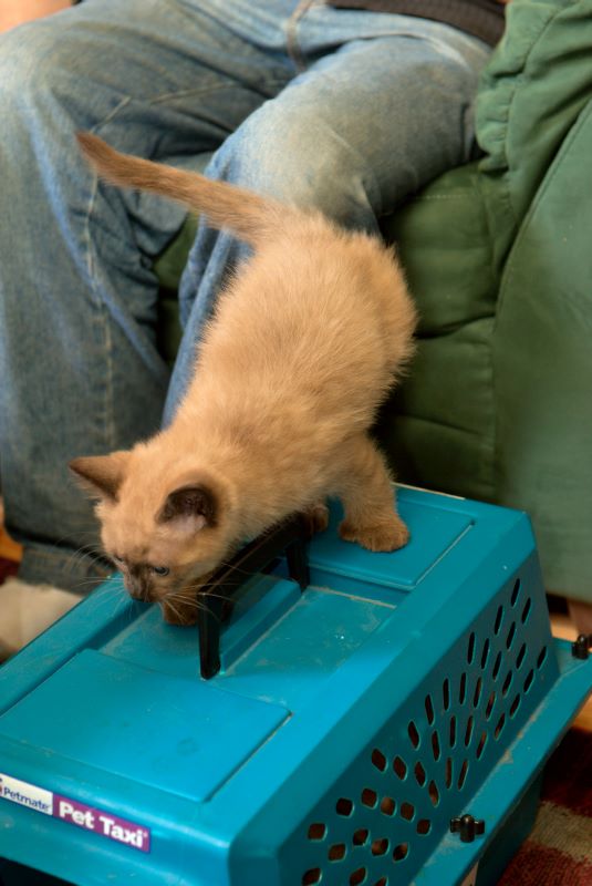 ddb 20090329 010-032