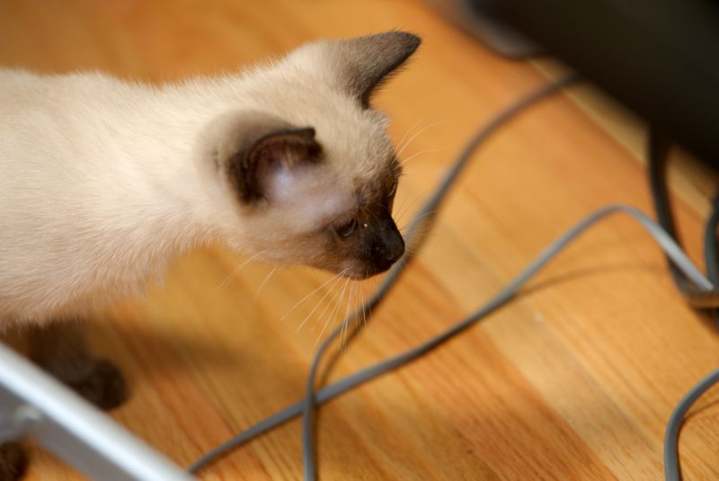 ddb 20090329 010-034