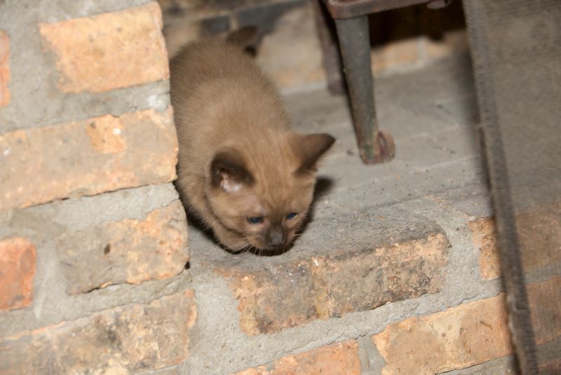 ddb 20090329 010-039