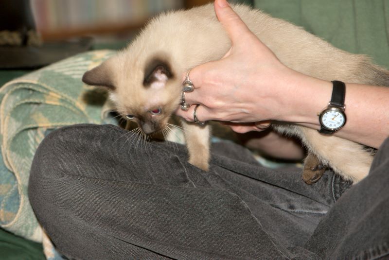 ddb 20090329 010-041