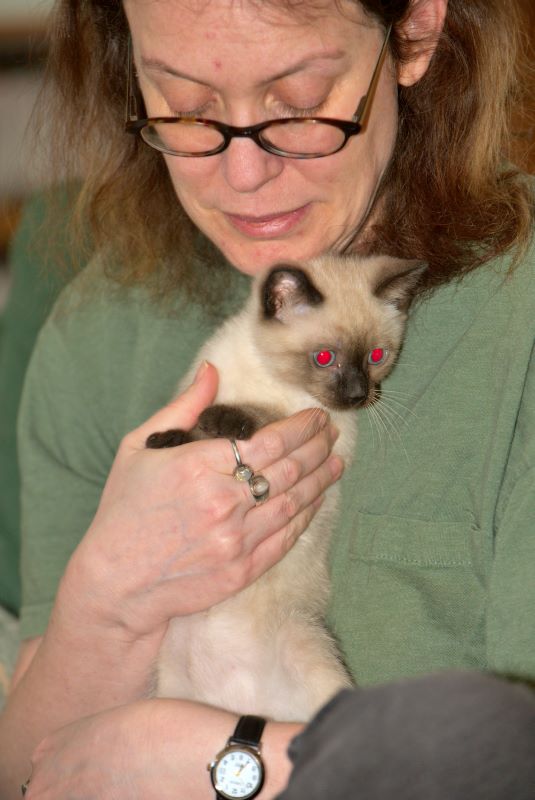 ddb 20090329 010-042