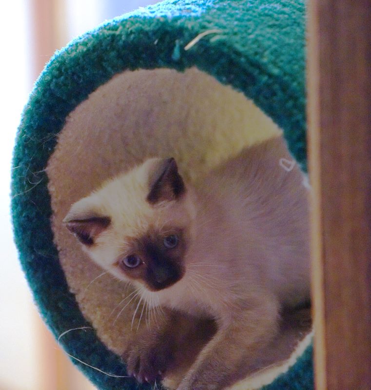 ddb 20090329 010-056