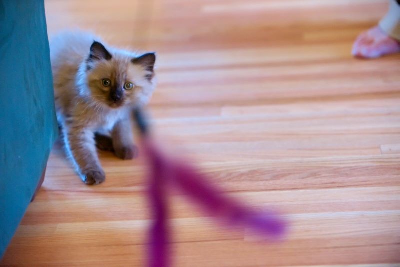 ddb 20090329 010-063