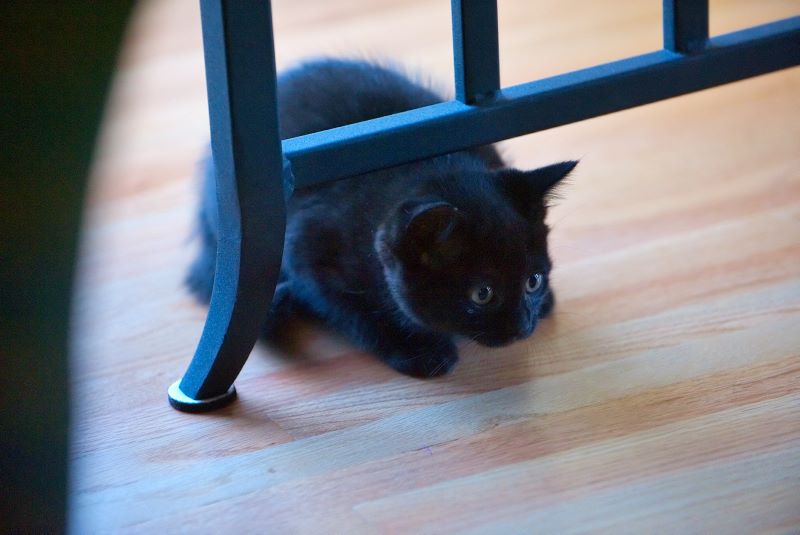 ddb 20090329 010-065