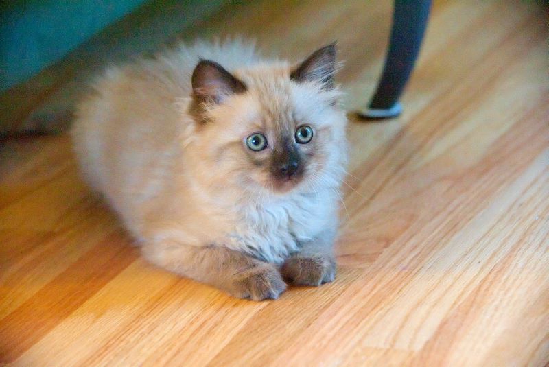 ddb 20090329 010-069