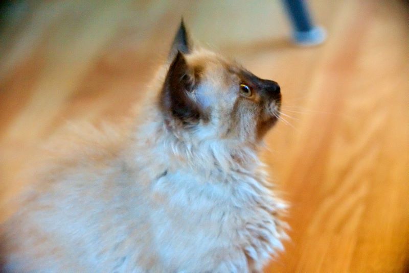 ddb 20090329 010-074